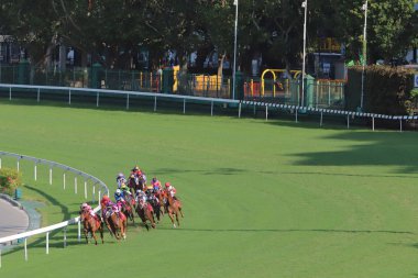 Happy Valley Yarış sahasında yarış günü 