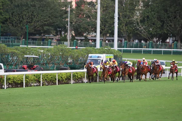 Corse Cavalli All Ippodromo Happy Valley — Foto Stock