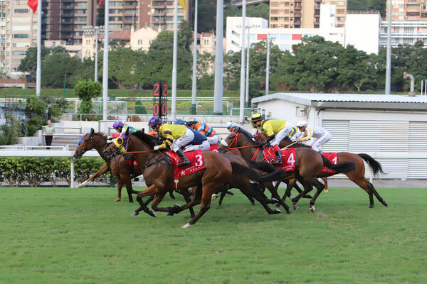 a day time Happy Valley Racecourse in H