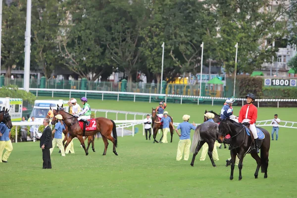 Corrida Cavalos Happy Valley Racecourse — Fotografia de Stock