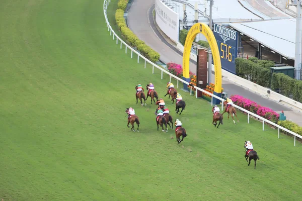 Bir Gün Zaman Mutlu Valley Racecourse — Stok fotoğraf