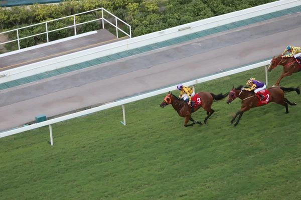 Bir Gün Zaman Mutlu Valley Racecourse — Stok fotoğraf