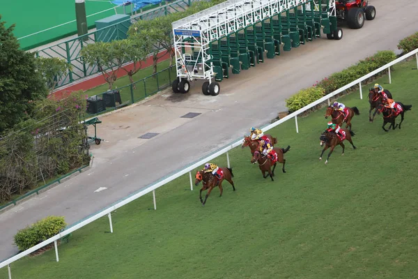 Dagtid Happy Valley Racecourse — Stockfoto