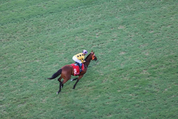 Corrida Cavalos Happy Valley Racecourse — Fotografia de Stock