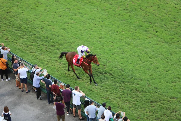 Corrida Cavalos Happy Valley Racecourse — Fotografia de Stock