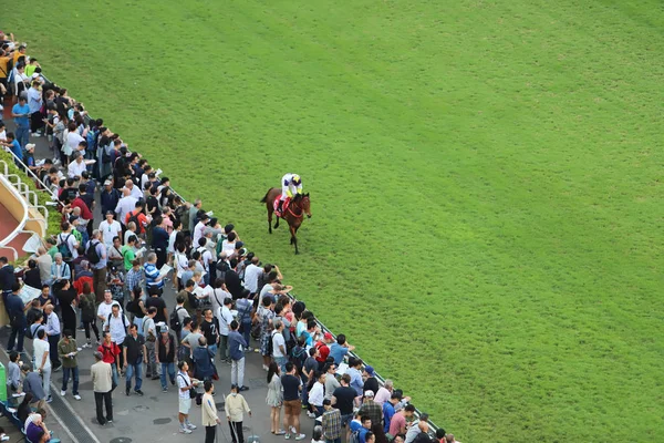 Corse Cavalli All Ippodromo Happy Valley — Foto Stock