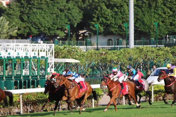 Happy Valley Racecourse Gün Zamanında — Stok fotoğraf