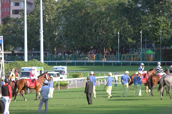 Happy Valley Racecourse Yarış Atı — Stok fotoğraf