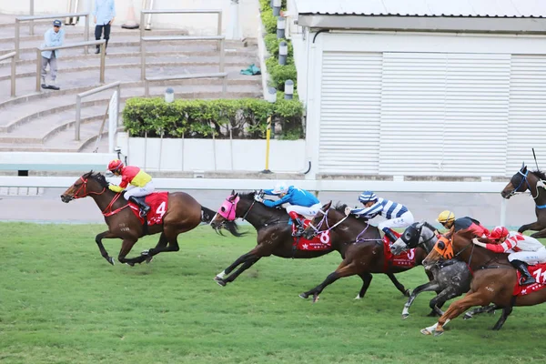 Hong Kong Jockey Club adlı yarış atı.