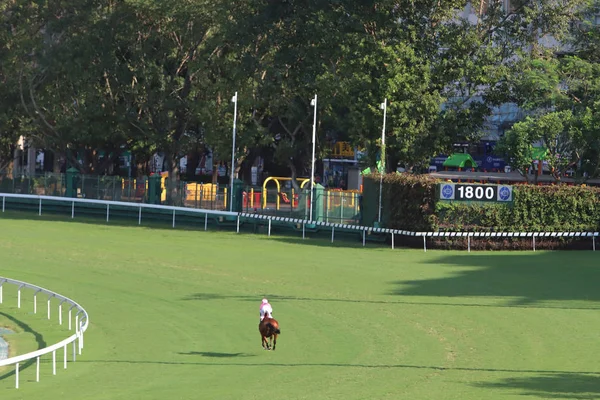 Pista Corrida Cavalos Happy Valley Hong Kong China — Fotografia de Stock