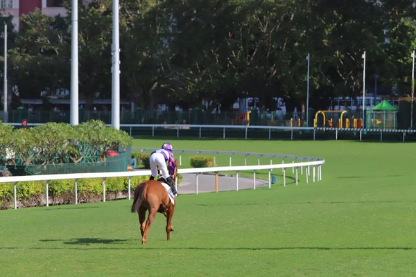 Happy Valley Horse Race Track Hong Kong — Foto Stock