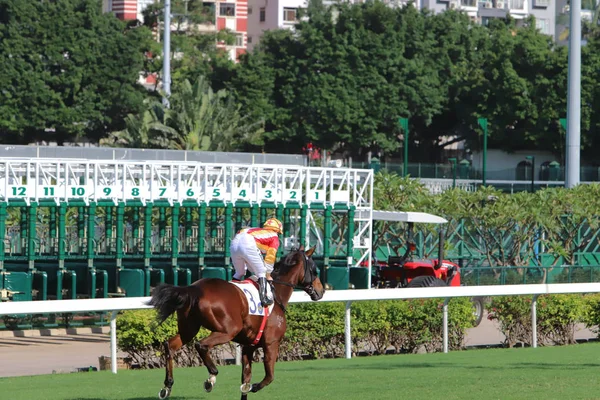 Happy Valley Horse Race Track Hong Kong — Stock fotografie