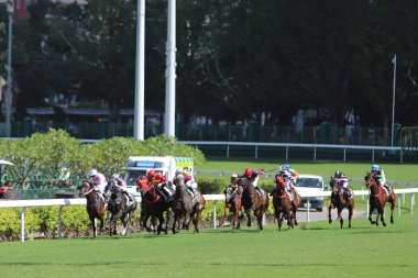 Happy Valley Yarış alanı bir yarış 