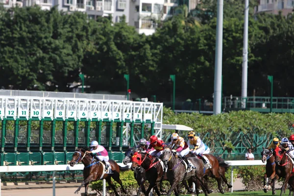 Happy Valley Racecourse Gün Zamanında — Stok fotoğraf