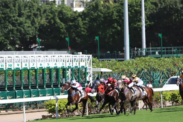 Happy Valley Racecourse Gün Zamanında — Stok fotoğraf