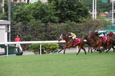 Happy Valley Racecourse yarış atı