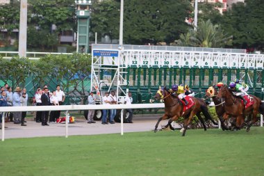 Happy Valley Racecourse yarış atı