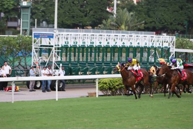 Happy Valley Racecourse yarış atı