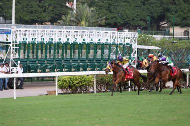 Happy Valley Racecourse yarış atı