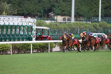 Happy Valley Racecourse yarış atı