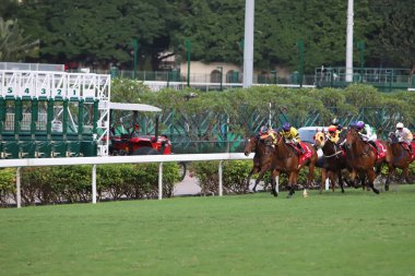 Happy Valley Racecourse yarış atı