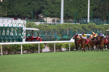 Happy Valley Racecourse yarış atı