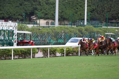 Happy Valley Racecourse yarış atı