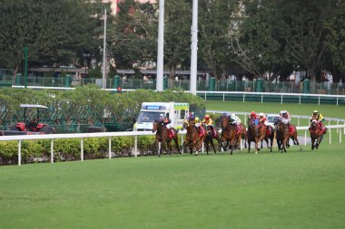 Happy Valley Racecourse yarış atı