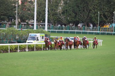 Happy Valley Racecourse yarış atı