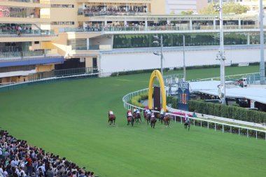 Hong Kong Jockey Club adlı yarış atı.