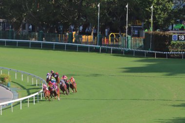 Happy Valley Yarış sahasında yarış günü 