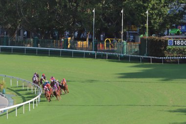 Happy Valley Yarış sahasında yarış günü 