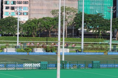 mutlu vally at yarış pisti görünümünü