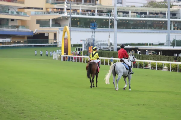 Corrida Cavalos Happy Valley Racecourse — Fotografia de Stock