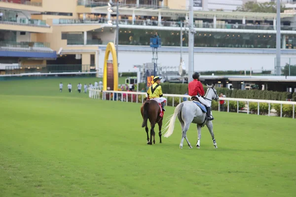 Corrida Cavalos Happy Valley Racecourse — Fotografia de Stock