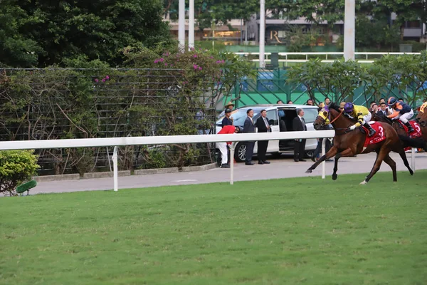 Corse Cavalli All Ippodromo Happy Valley — Foto Stock