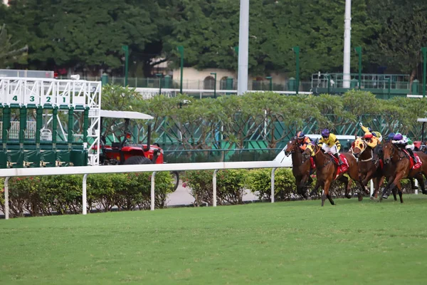 Happy Valley Racecourse yarış atı
