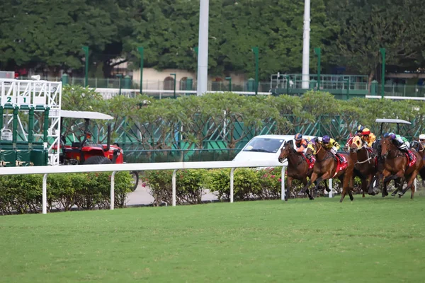 Happy Valley Racecourse Yarış Atı — Stok fotoğraf