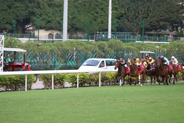 Happy Valley Racecourse Yarış Atı — Stok fotoğraf