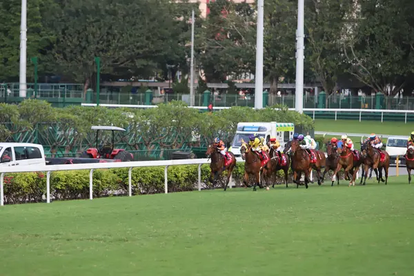 Happy Valley Racecourse Yarış Atı — Stok fotoğraf