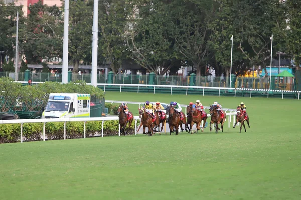 Pferderennen Auf Der Happy Valley Rennbahn — Stockfoto