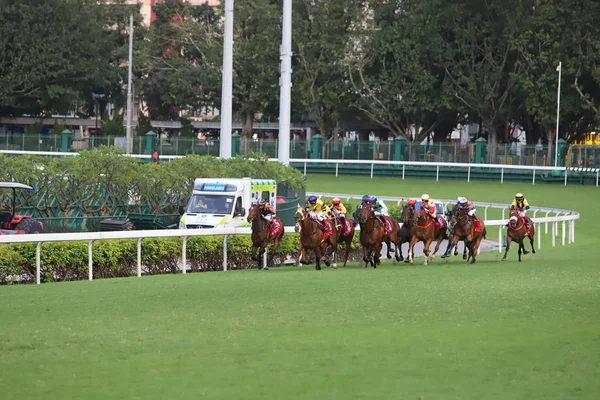 Happy Valley Racecourse yarış atı