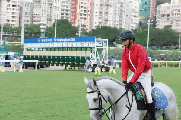 Corrida Cavalos Happy Valley Racecourse — Fotografia de Stock