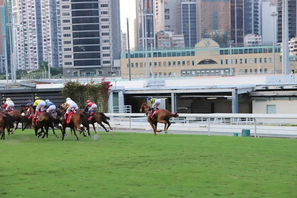 Happy Valley Racecourse Dagtid — Stockfoto