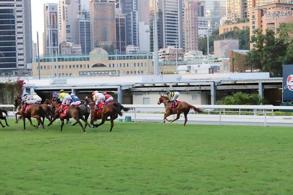 Happy Valley Racecourse Hora Dia — Fotografia de Stock