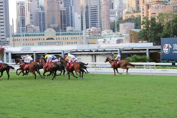 Happy Valley Racecourse Hora Dia — Fotografia de Stock