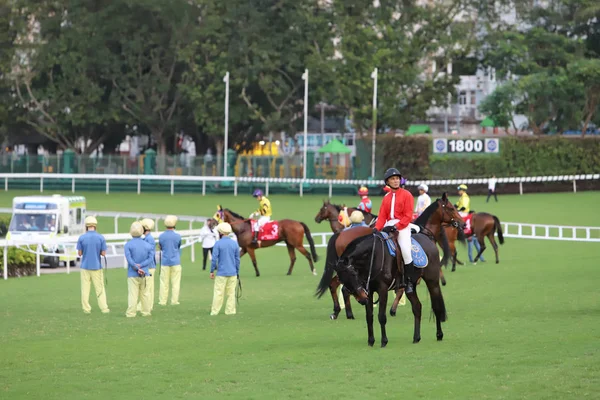 Corse Cavalli All Ippodromo Happy Valley — Foto Stock