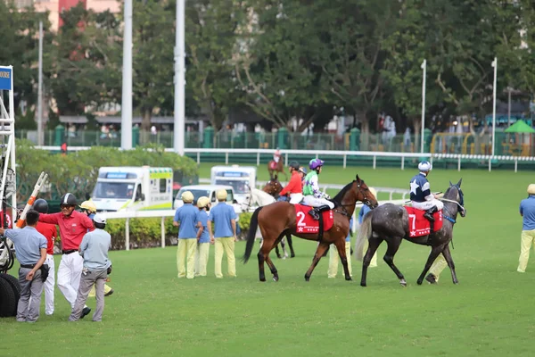 Happy Valley Racecourse Yarış Atı — Stok fotoğraf