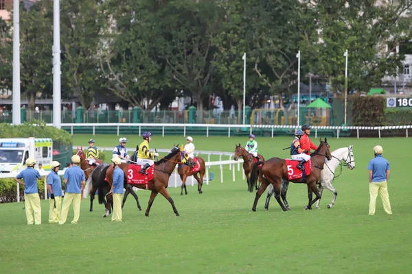 Happy Valley Racecourse Yarış Atı — Stok fotoğraf