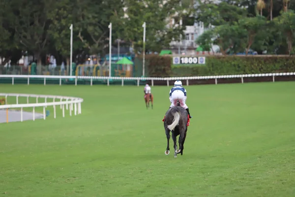 Corse Cavalli All Ippodromo Happy Valley — Foto Stock